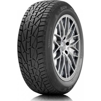 Taurus Winter 235/55 R19 105V