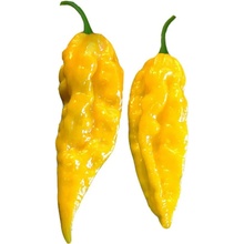 Semínka Piquant Paprička chilli BHUT JOLOKIA YELLOW