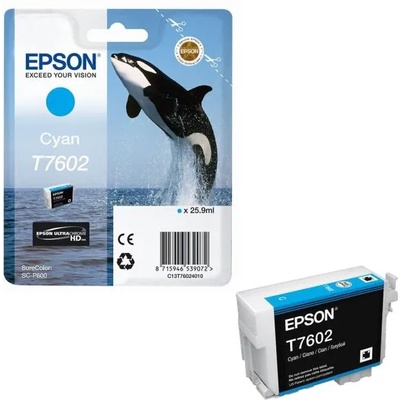Epson T7602
