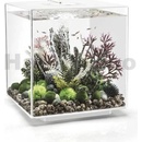 Biorb Cube MCR akvarijní set bílý 30 l