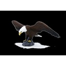 Animal Planet Orol bielohlavý 387027