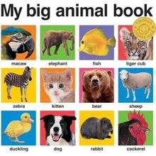 My Big Animal Book Priddy Roger Board Books