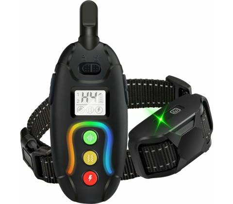 Reedog RS1