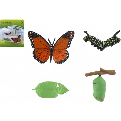 Teddies Vývoj motýľa babočky