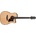 Ibanez AAD300CE-LGS