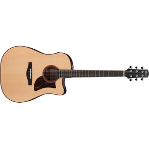 Ibanez AAD300CE-LGS