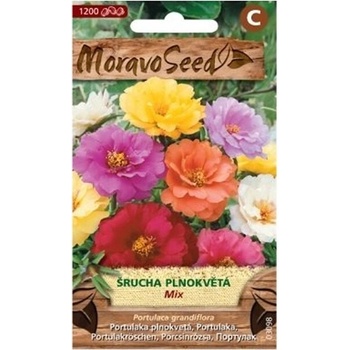 Semínka MoravoSeed Šrucha velkokvětá plnokvětá, směs 03098