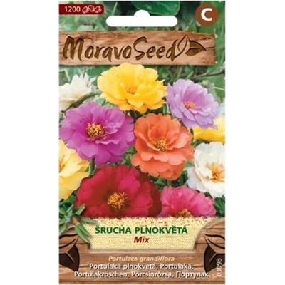 Semínka MoravoSeed Šrucha velkokvětá plnokvětá, směs 03098