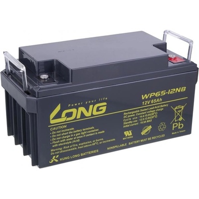 Long 12V 65Ah