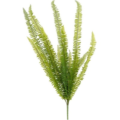 ZELEŇ PAPRAĎ- NEPHROLEPSIS 90CM