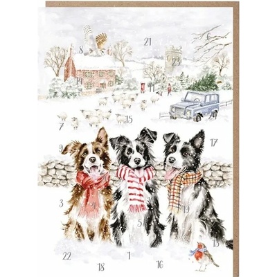 Přání s adventním kalendářem Wrendale Designs "While Shepherds Watched" - Pejsci