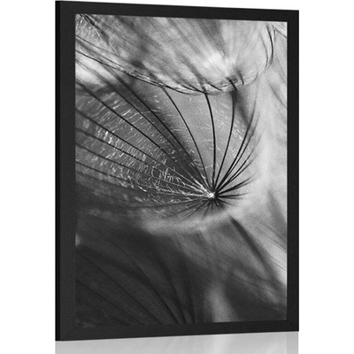 Plakát krásná pampeliška v černobílém provedení - 40x60 no frame