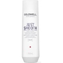 Šampóny Goldwell Dualsenses Just Smooth Taming Shampoo 1000 ml