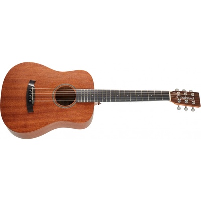 Tanglewood TW2