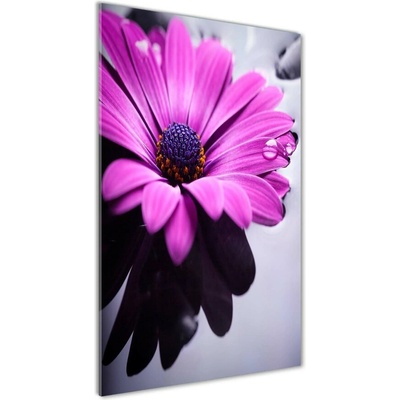 Vertikálny foto obraz fotografie na skle Ružová gerbera 50x100 cm