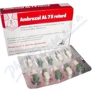 Ambroxol AL 75 retard cps.plg.20 x 75 mg