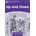 Dolphin 4 Up and Down Activity Book