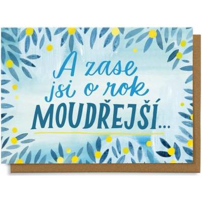Chaukiss A zase jsi o rok moudřejší