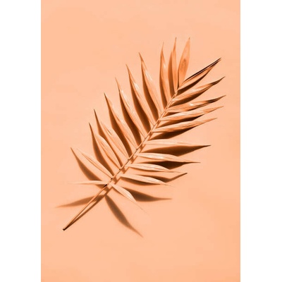 Plakát, Obraz - Palm leaf close up, lenta, 30 × 40 cm