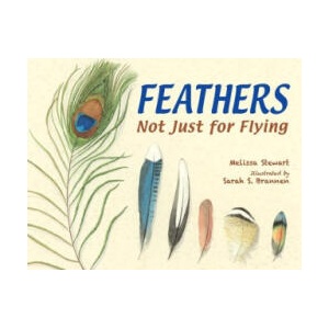 Feathers | Melissa Stewart (ISBN: 9781580894319)