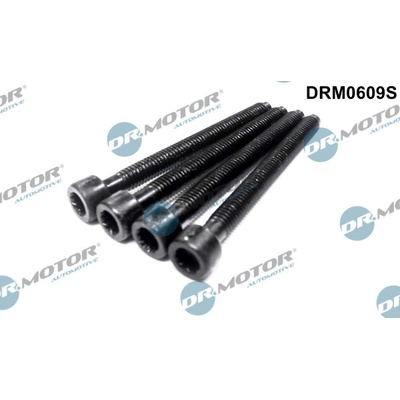 Dr.Motor Automotive šroub, držák vstřikovací trysky DRM0609S | Zboží Auto