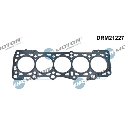 DR.MOTOR AUTOMOTIVE Tesnenie hlavy valcov DRM21227