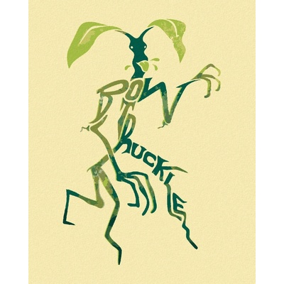 Zuty Ilustrace kůrolez fantastická zvířata 40 x 50 cm vypnuté plátno na rám 8596530201977