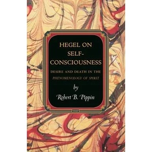 Hegel on Self-Consciousness | Robert B. Pippin (ISBN: 9780691163413)