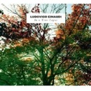 Ludovico Einaudi In A Time Lapse