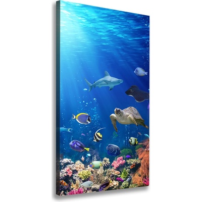 Vertikálny foto obraz na plátne Koralový útes 50x100 cm