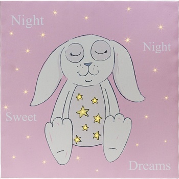 Image 1 of Светеща картина Зайче 32005