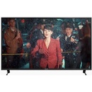 Panasonic TX-55FX600E