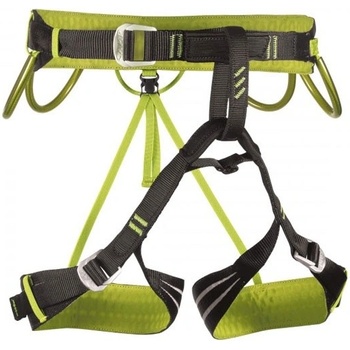 Camp Alpine Flash