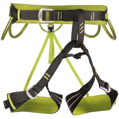 Camp Alpine Flash