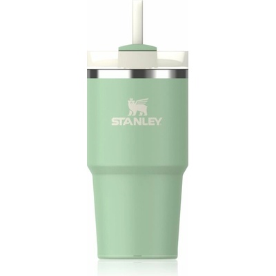 Stanley Quencher H2.O FlowState™ Tumbler tumbler z nehrdzavejúcej ocele s rúrkou malý Pistachio 1 ks