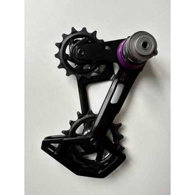 Sram Cage Assembly