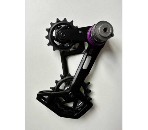 Sram Cage Assembly