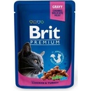 Krmivo pre mačky Brit Premium Cat Chicken & Turkey 100 g
