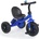BYOX Детска триколка Cavalier Lux (3800146231224)
