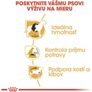 Royal Canin Beagle Adult 12 kg