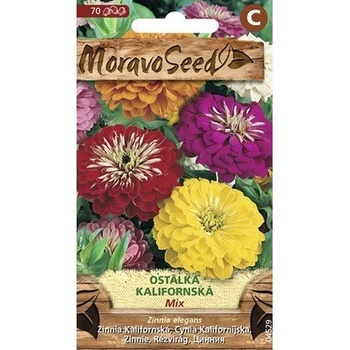 Cínia kalifornská zmes farieb MoravoSeed