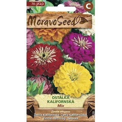 Cínia kalifornská zmes farieb MoravoSeed