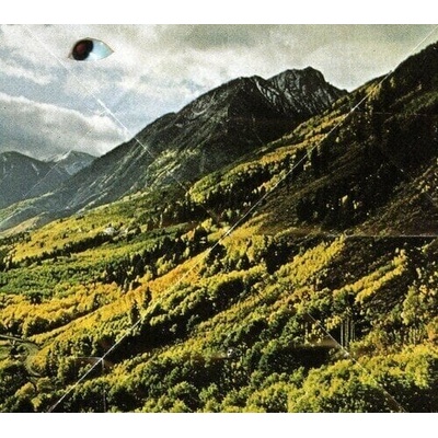 Woods - Songs Of Shame LP