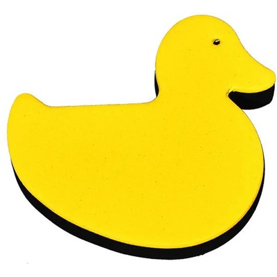 TMA Колидж за цигулка пате asr-11-dk