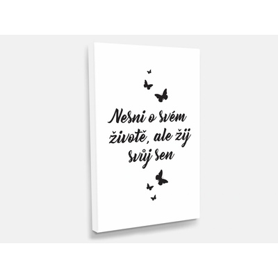 Nalepte.cz Obraz na plátně Nesni o svém životě 40 x 60 cm
