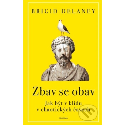 Zbav se obav - Jak být v klidu v chaotických časech - Brigid Delaney