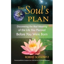 Your Soul's Plan - R. Schwartz Discovering the Rea