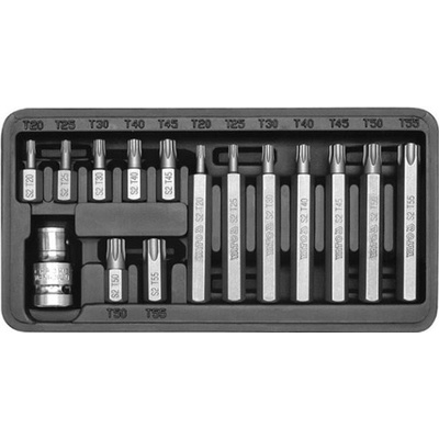 Yato Sada bitů TORX box YT-0411 15 ks