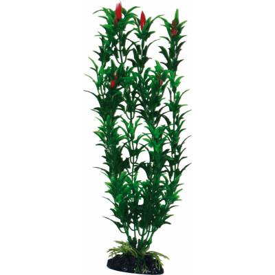 Amtra Egeria 18 cm