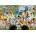 Educa - Puzzle Disney family III - 1 000 piese
